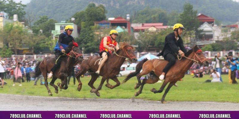 Chia sẻ cho tân binh các bước tham gia chơi đua ngựa tại sân chơi 789CLUB
